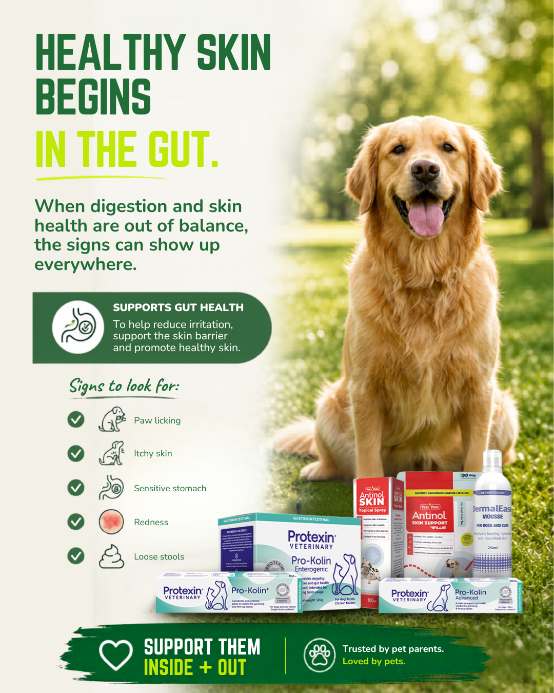 Budget Pet Products Facebook ad