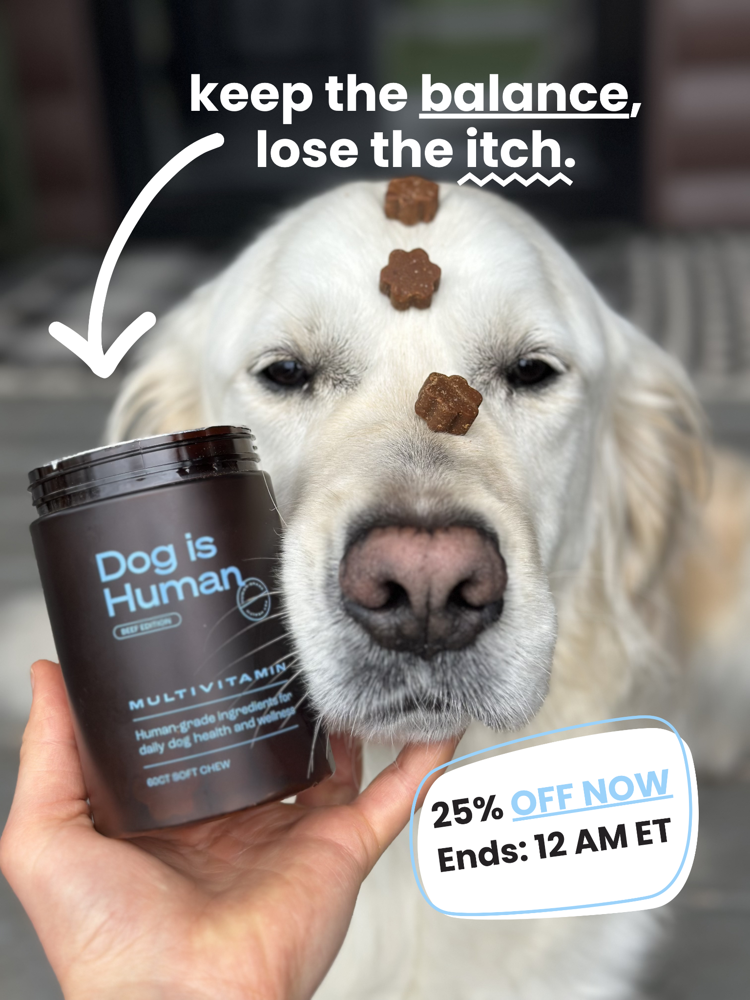 Dog is Human Facebook ad
