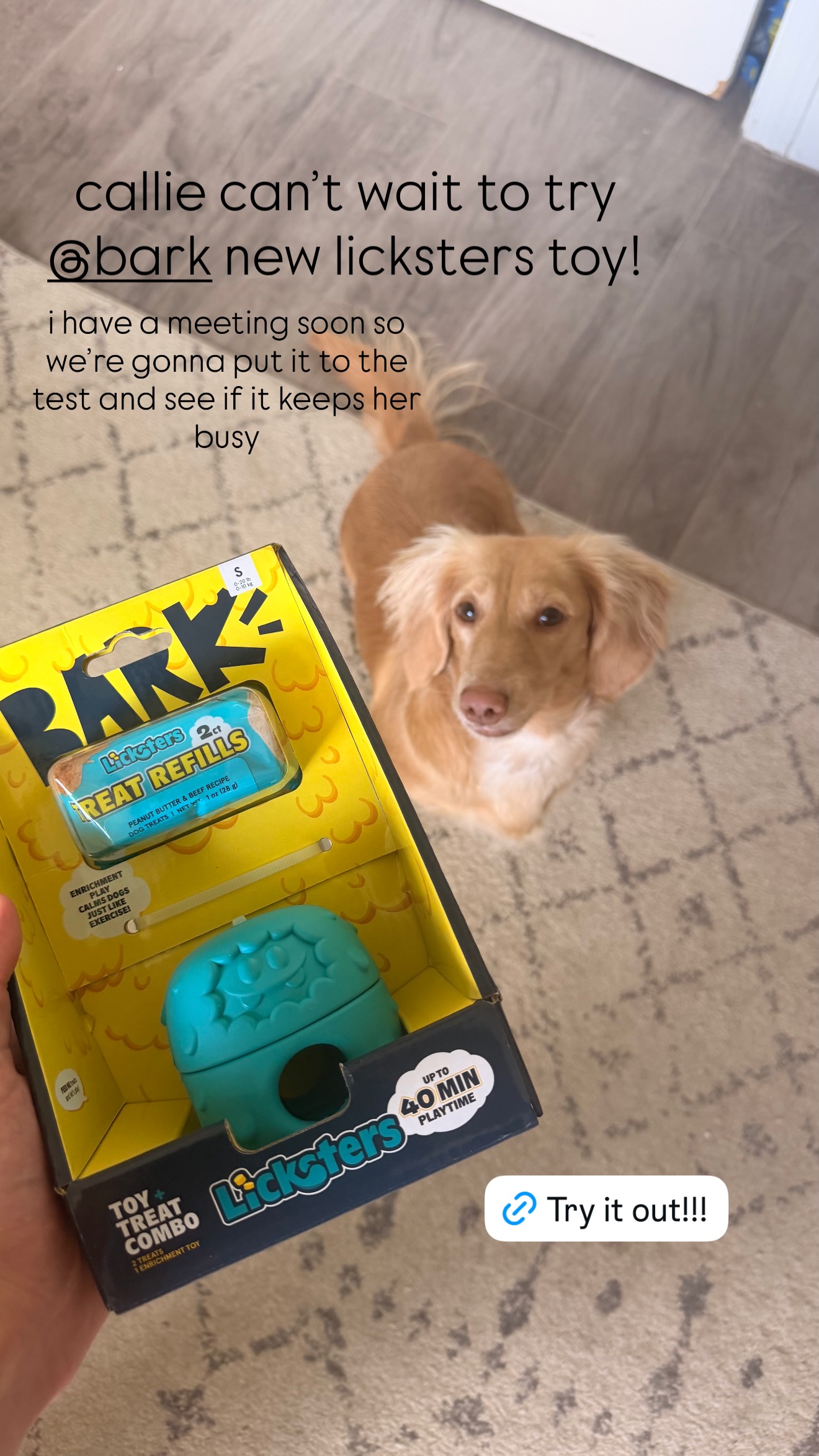 Callie the Weenie Facebook ad