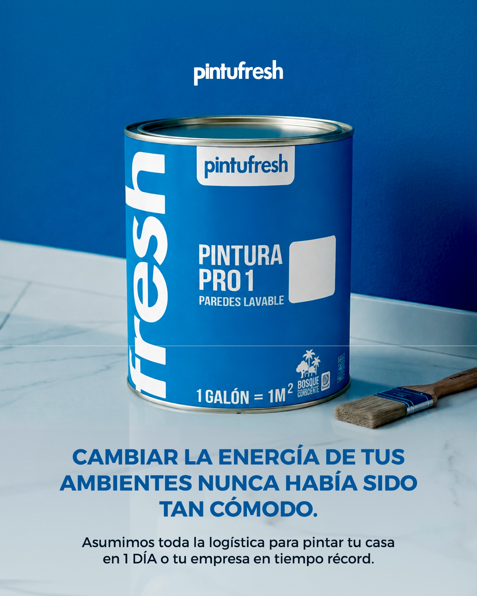 Pintufresh Facebook ad