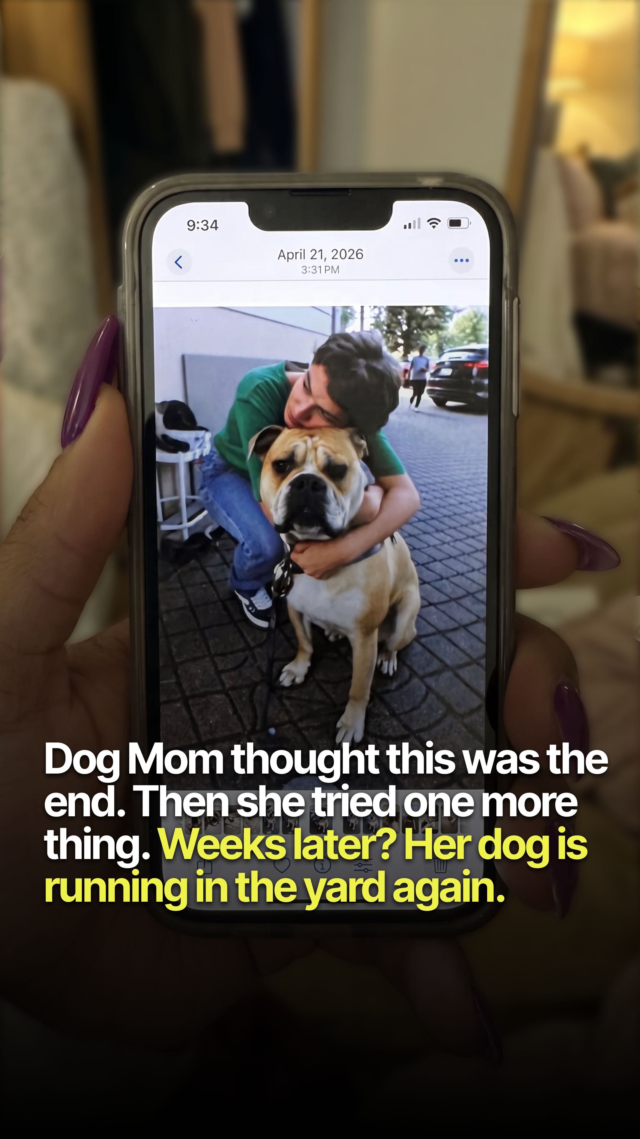 Helio Pet Facebook ad