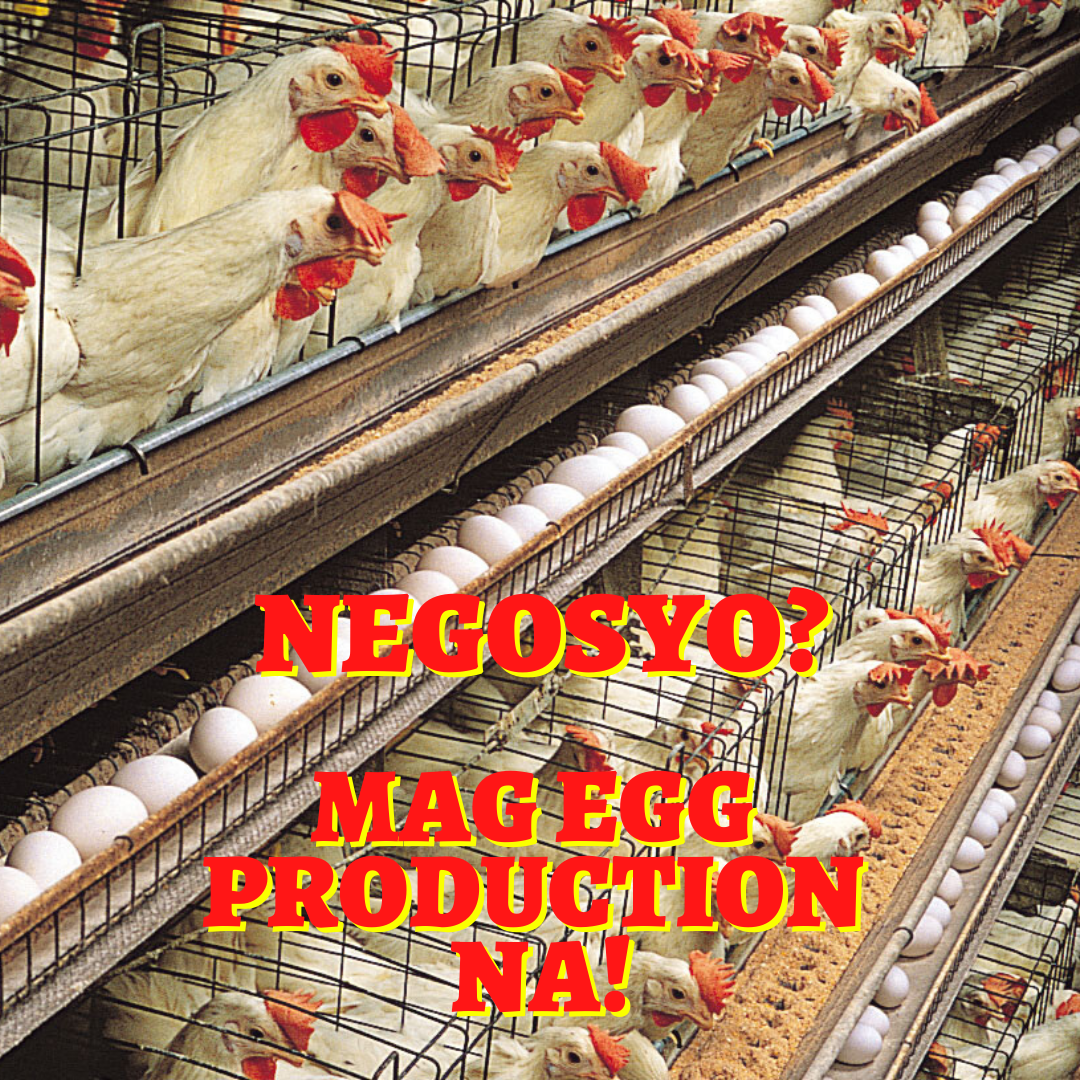 Taraken nga Manok Facebook ad
