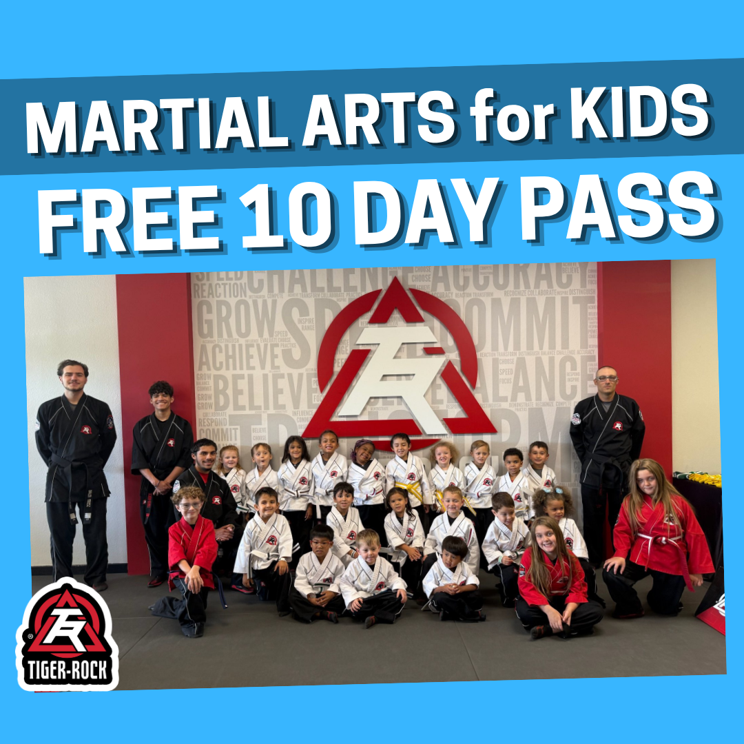 Tiger Rock Martial Arts - Fountain Facebook ad: 10 Days of Classes 100% FREE!