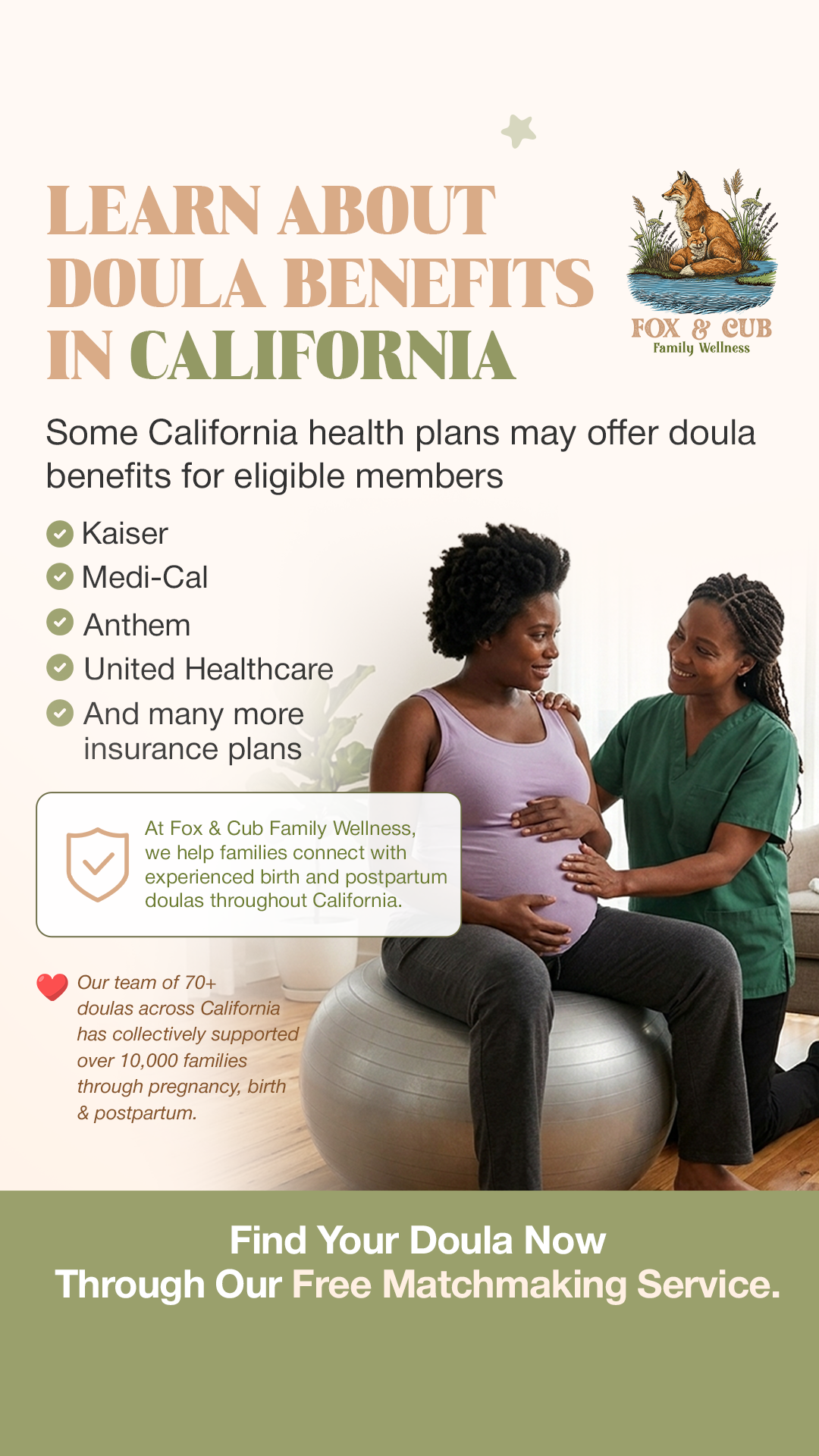 Fox & Cub Family Wellness Facebook ad from Jun 11, 2026