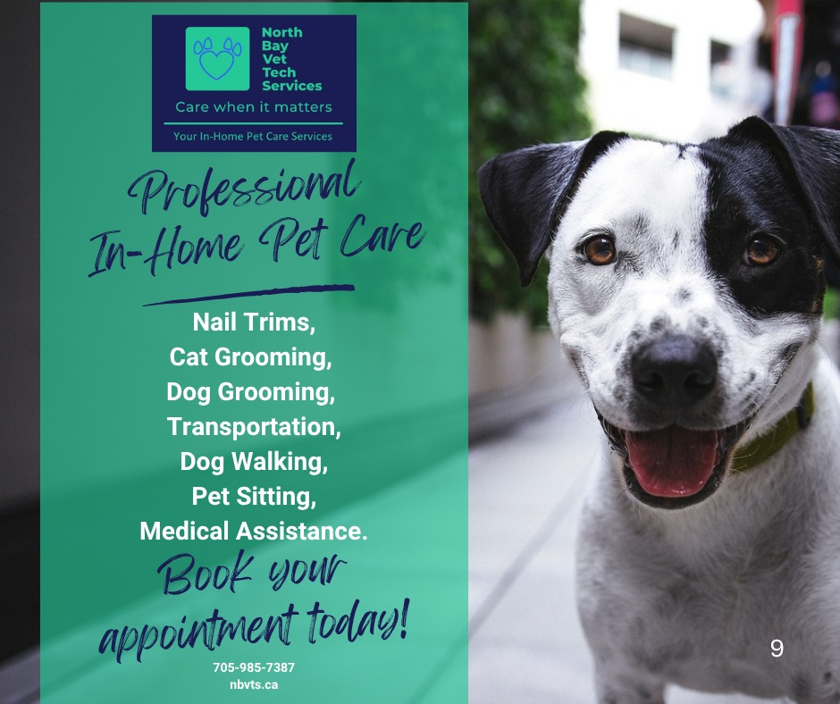 North Bay Vet Tech Services Facebook ad: Did you know?