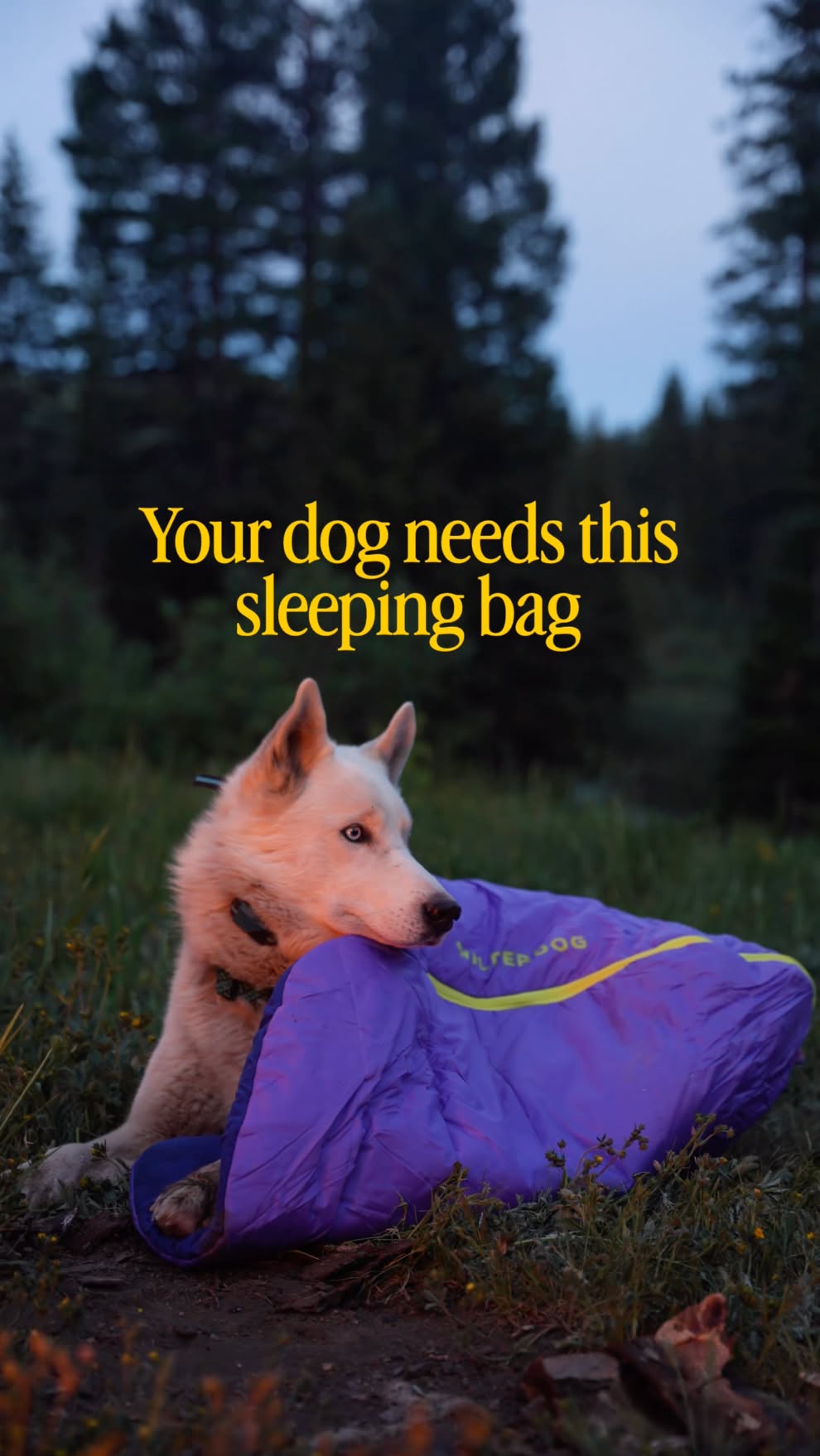 Wilderdog Facebook ad: Wilderdog Sleeping Bag