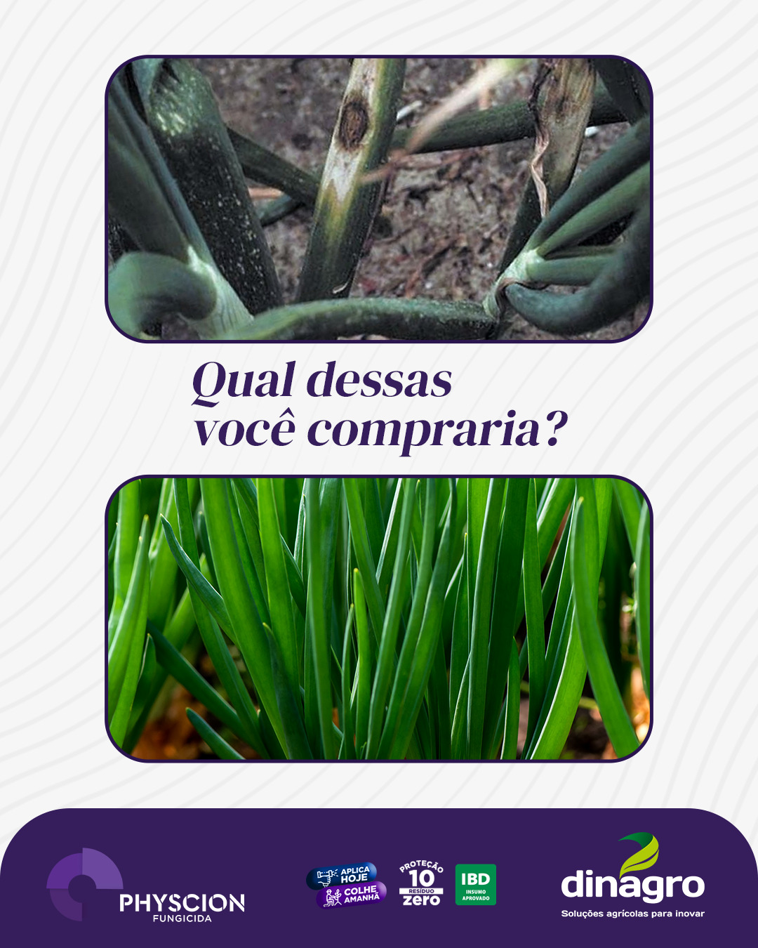 Dinagro Facebook ad