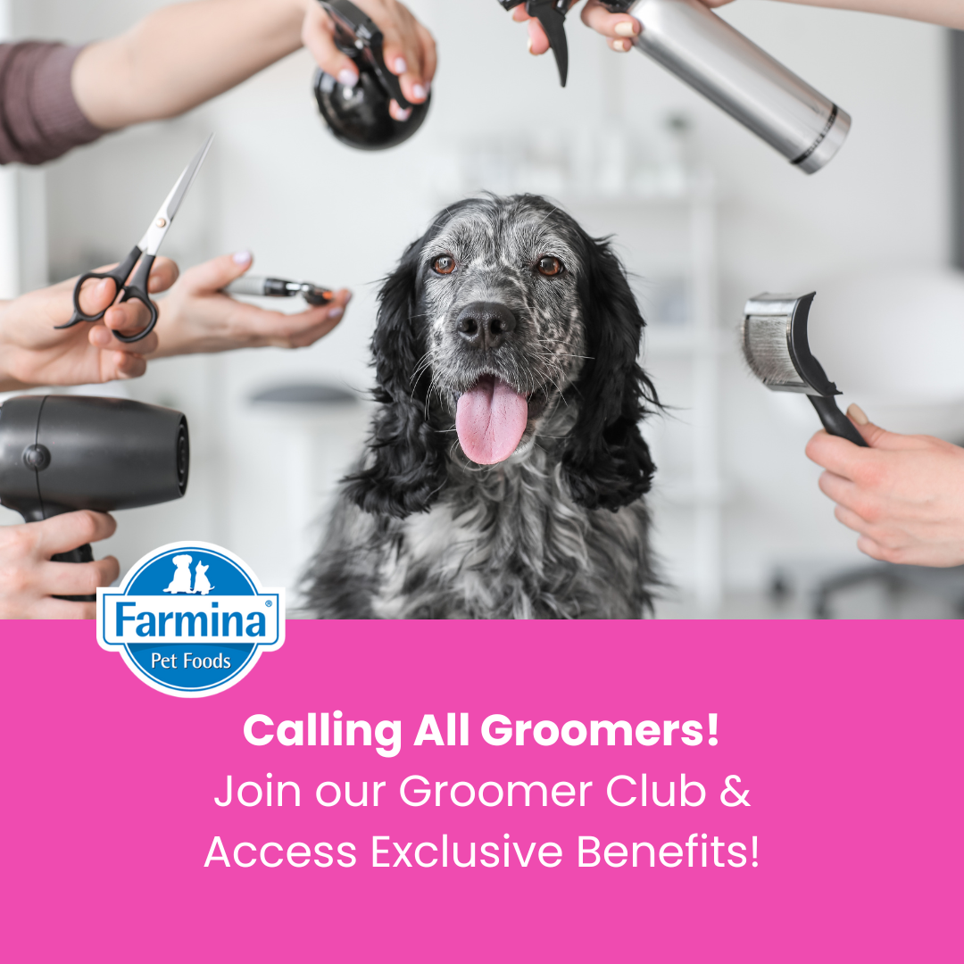 Farmina North America Facebook ad