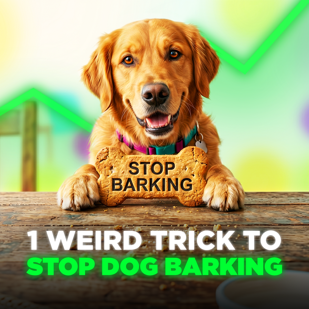 Mike James Dog Training Facebook ad