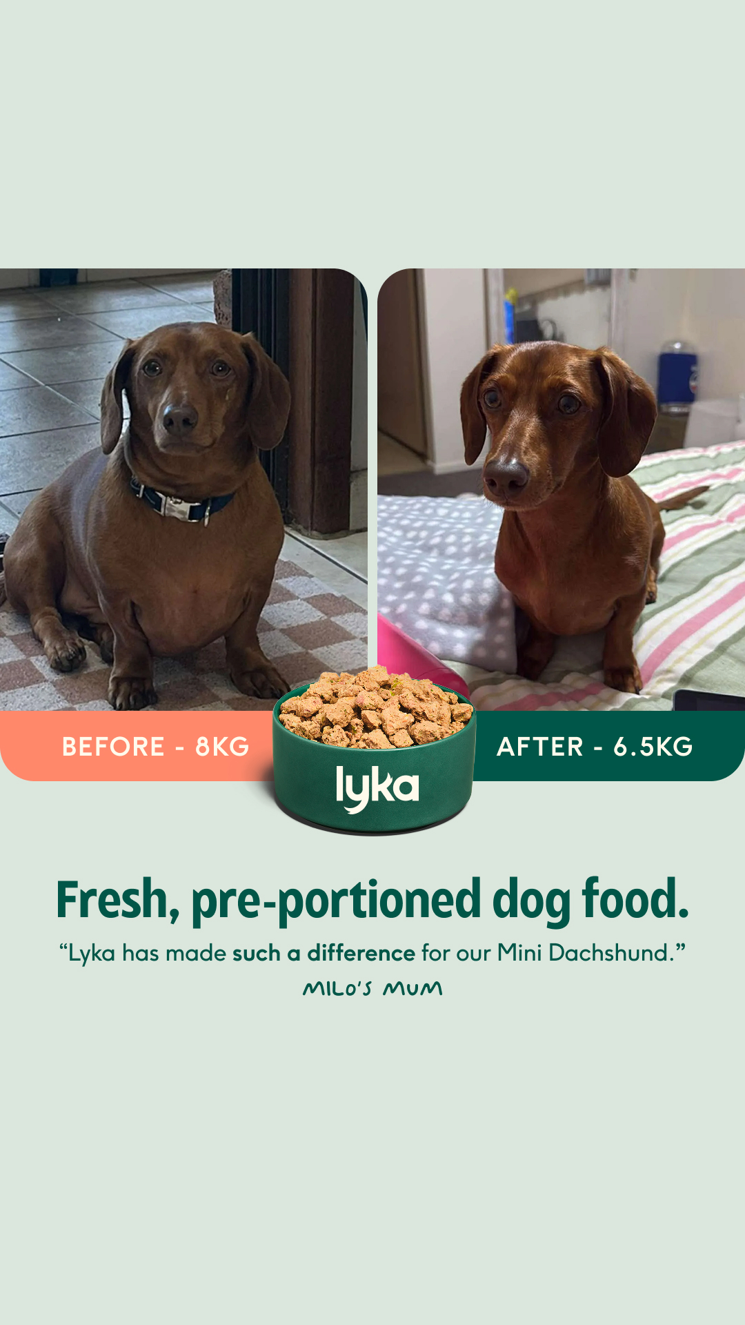 Lyka Pet Food Facebook ad