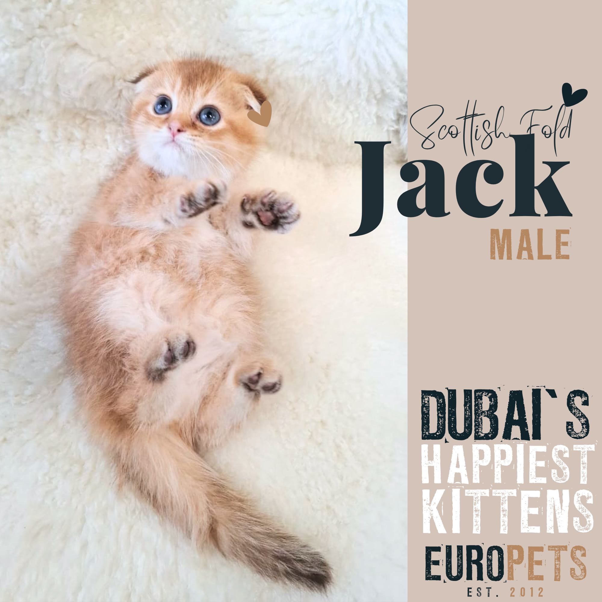 EuroPets Facebook ad