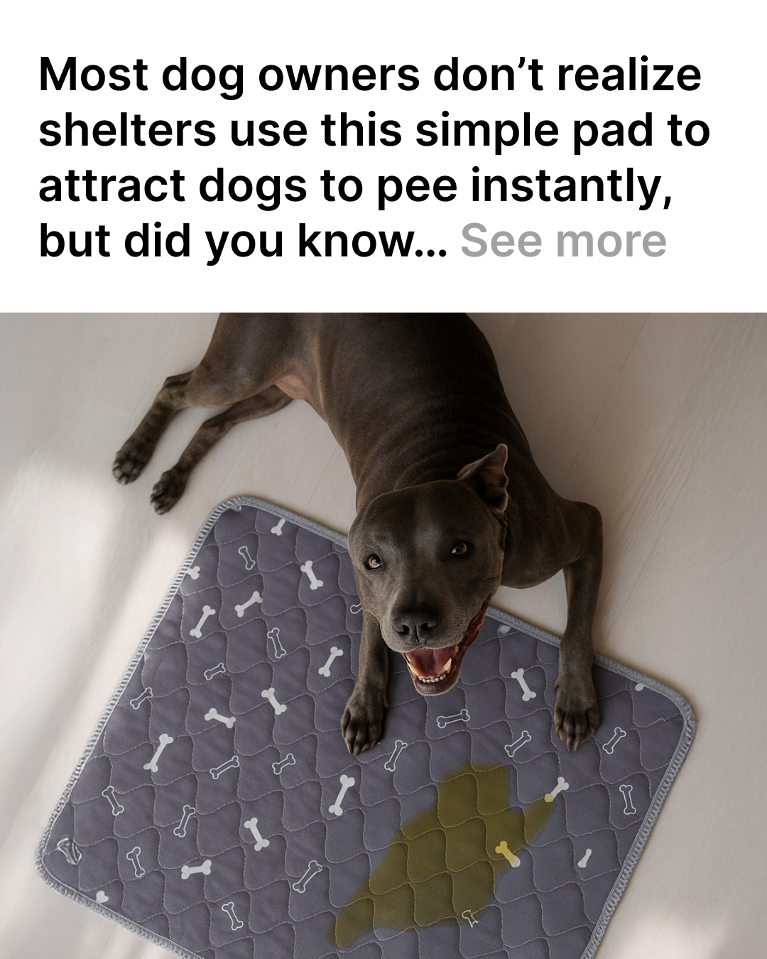 PuppyPad Facebook ad