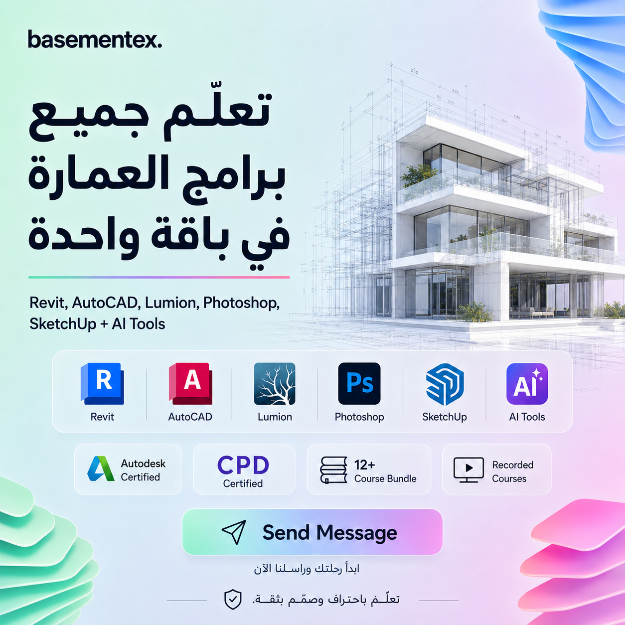 Basementex Facebook ad