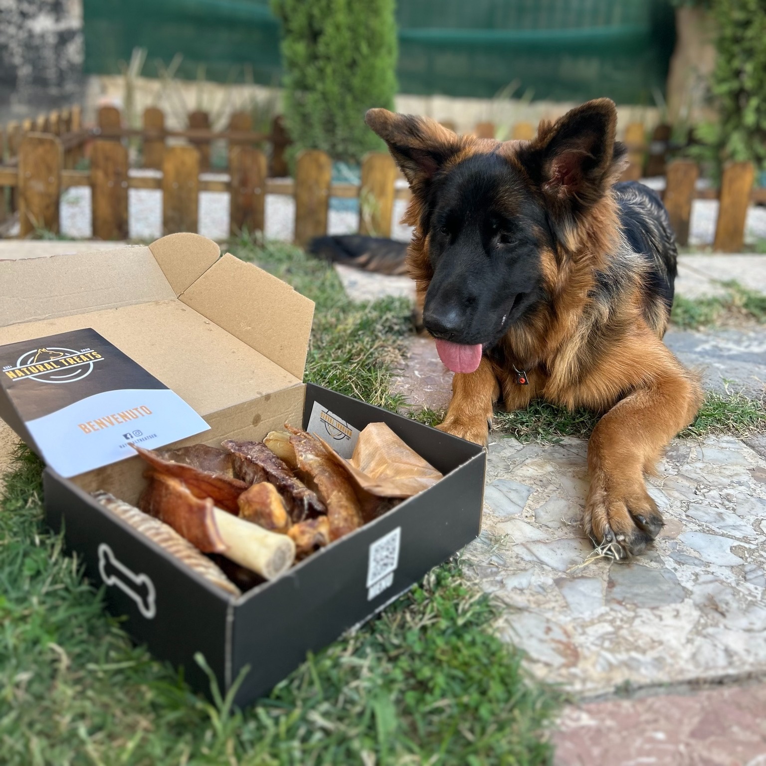 Natural Treats Facebook ad