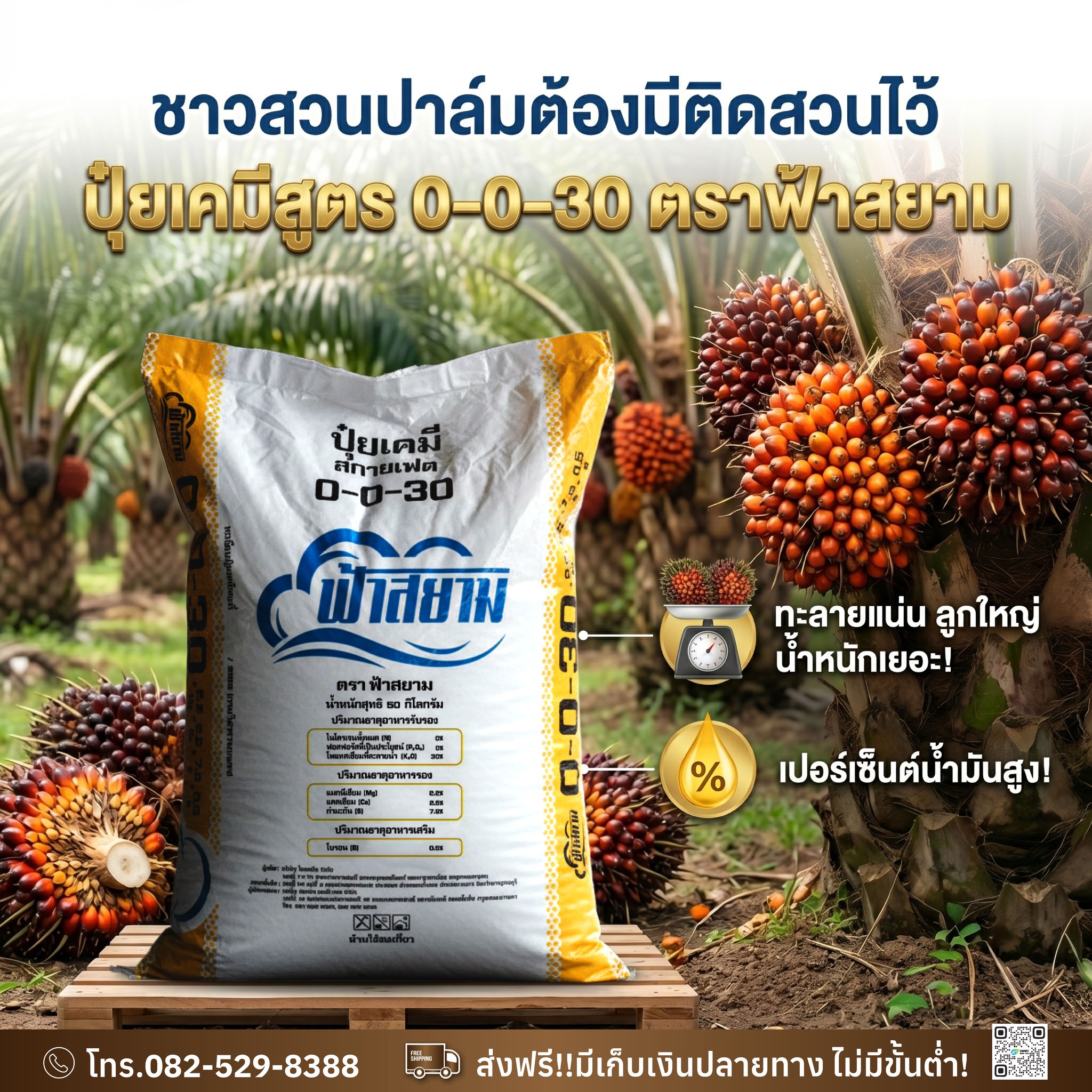 ปุ๋ยตราฟ้าสยาม Facebook ad: ปาล์มน้ำหนักไม่ดี ทะลายไม่แน่น แก้ยังไงดี?