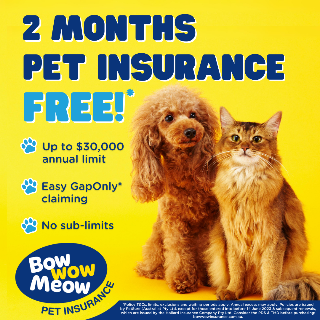 Bow Wow Meow Pet Insurance Facebook ad