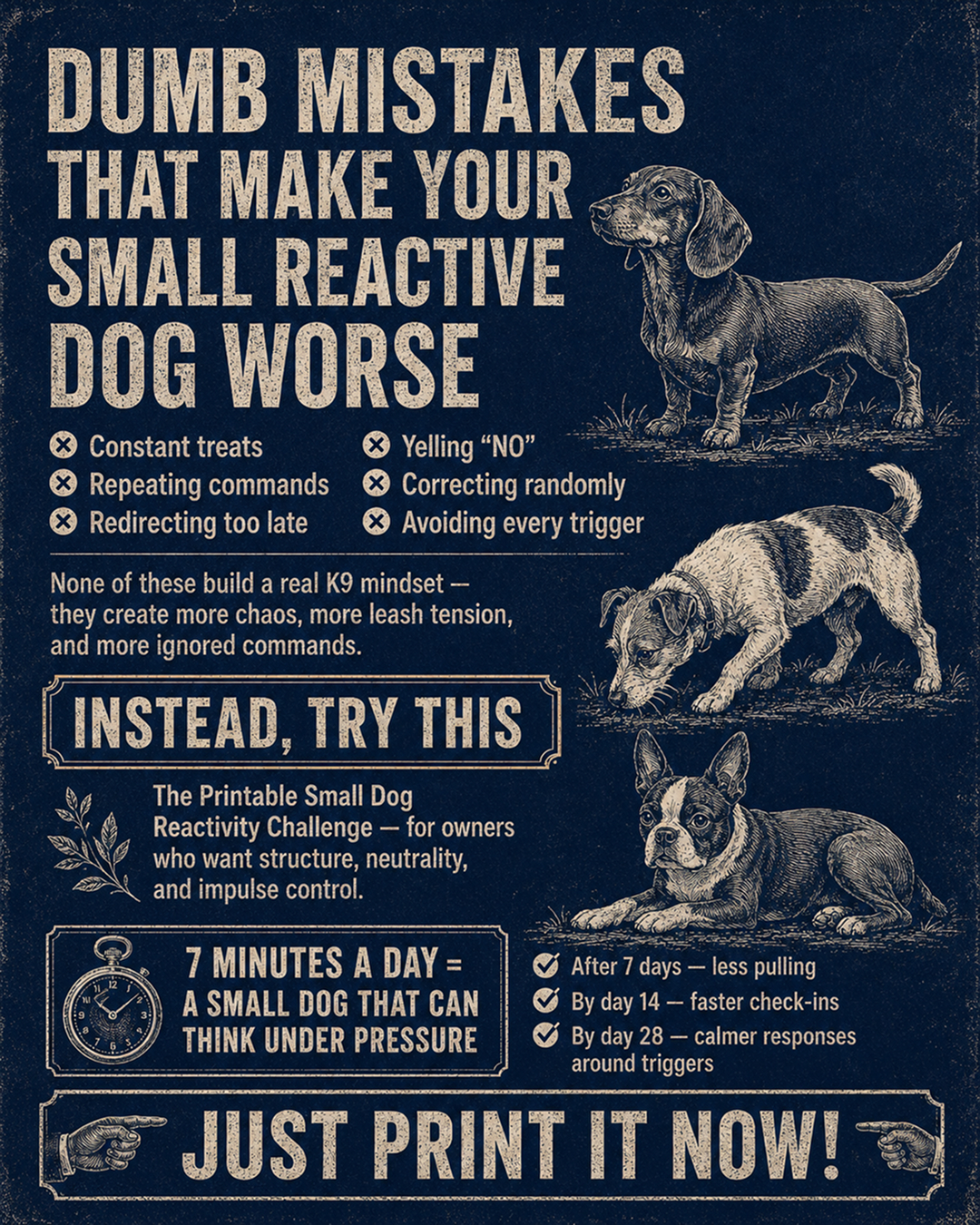 1st Dog Training Club Facebook ad
