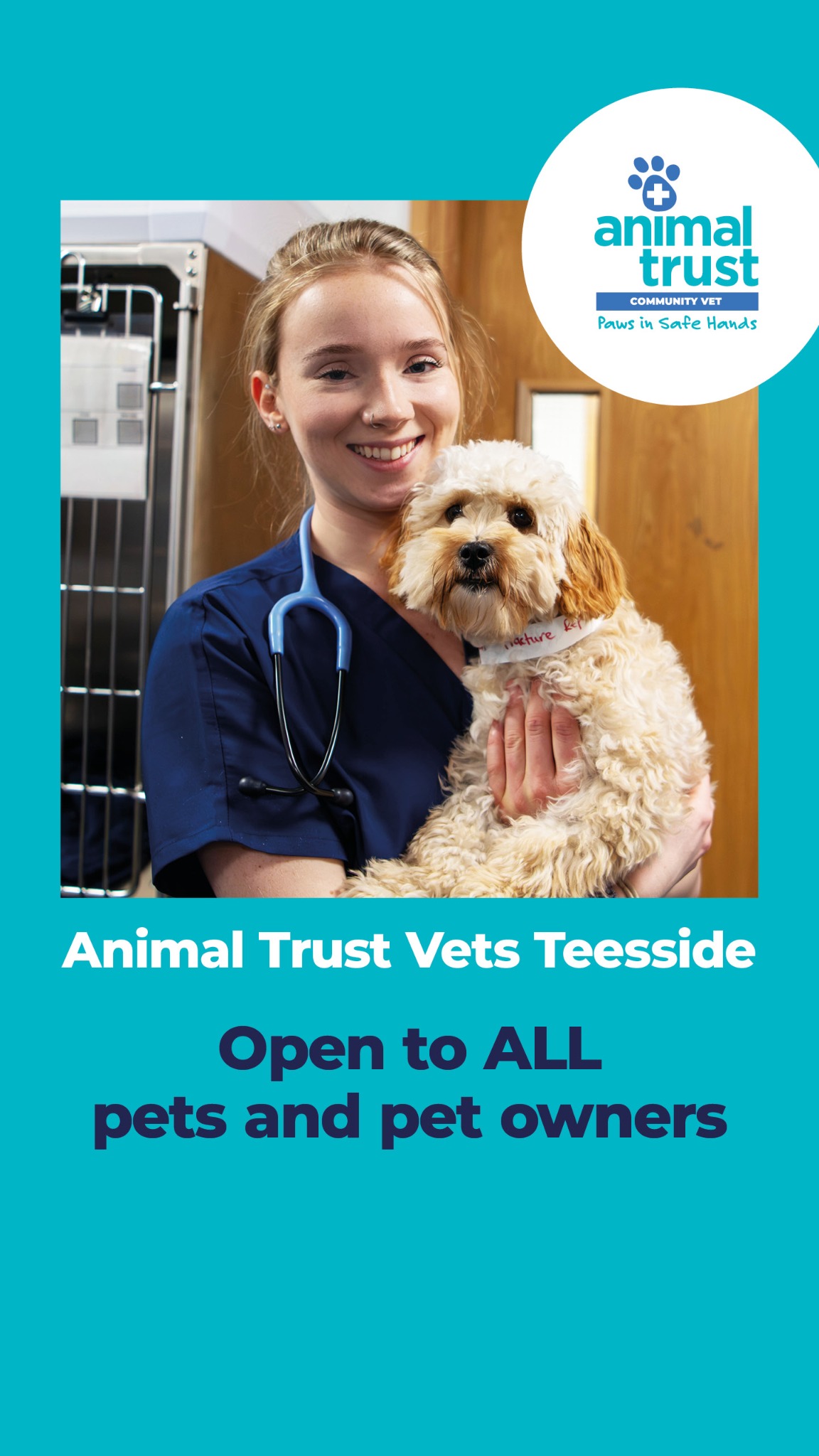 Animal Trust Vets Facebook ad