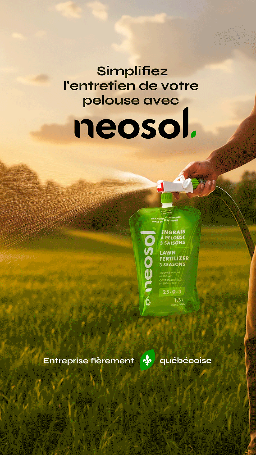 Neosol Facebook ad from Mar 6, 2026