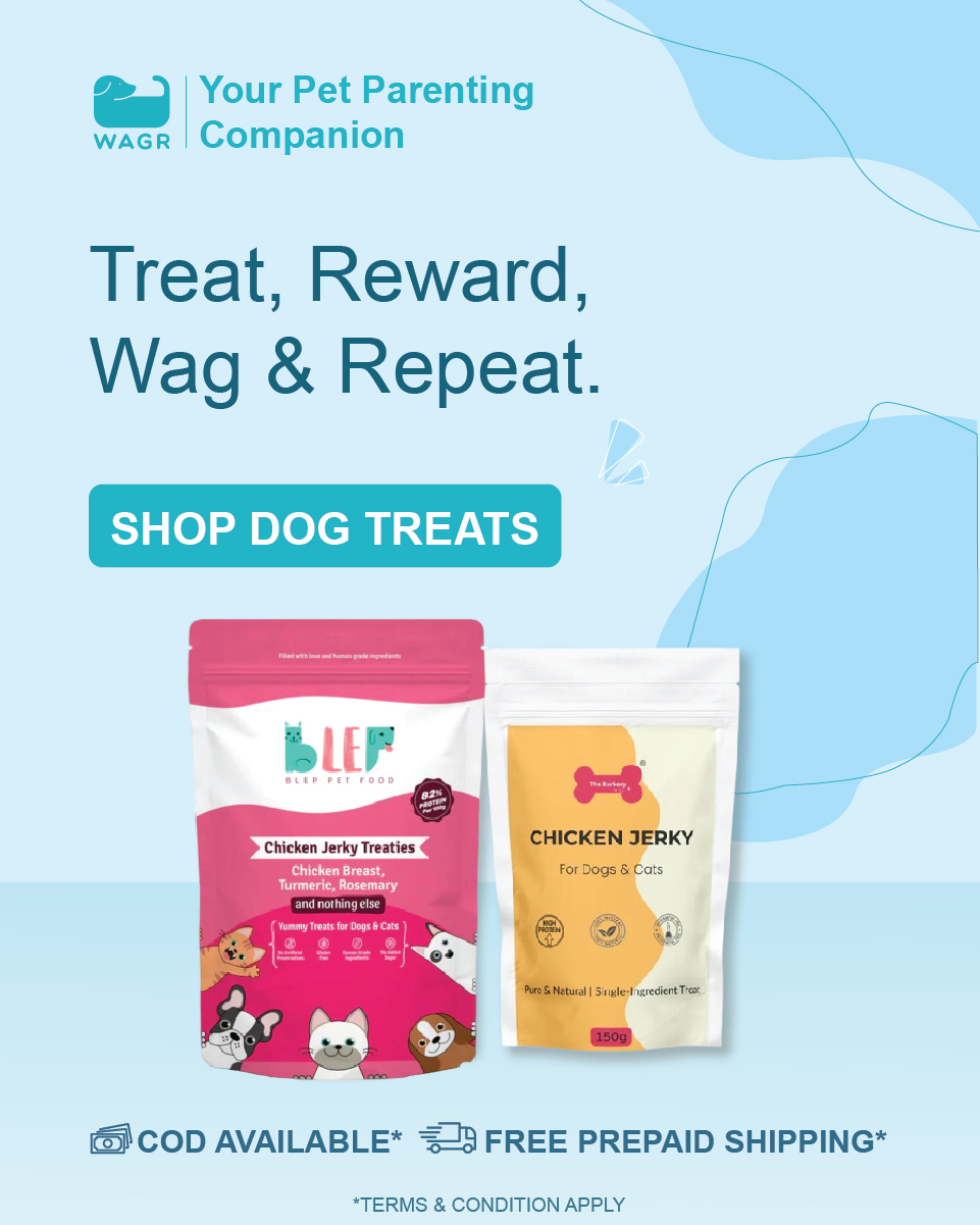 Wagr Facebook ad
