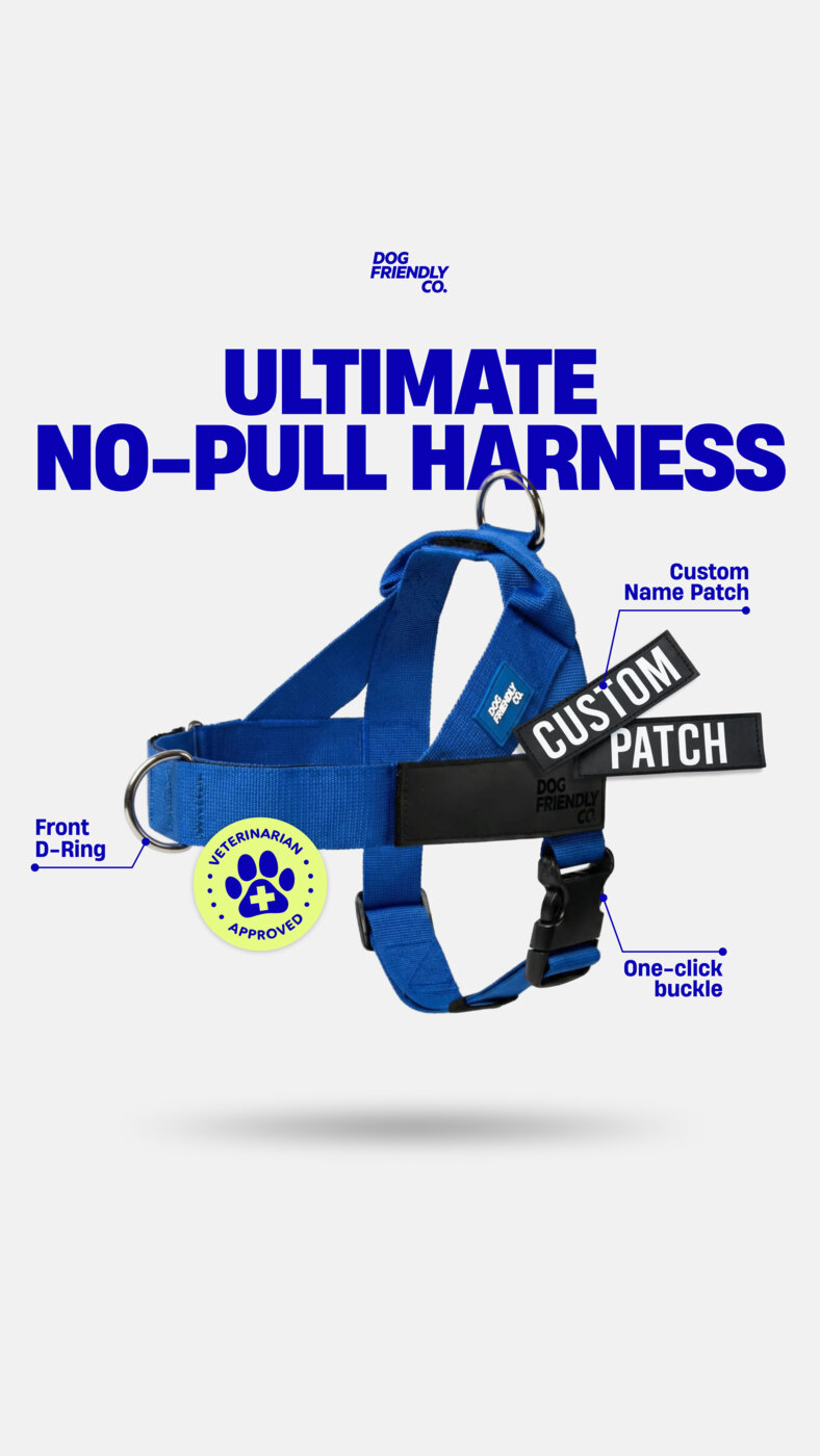 Dog Friendly Co. Facebook ad