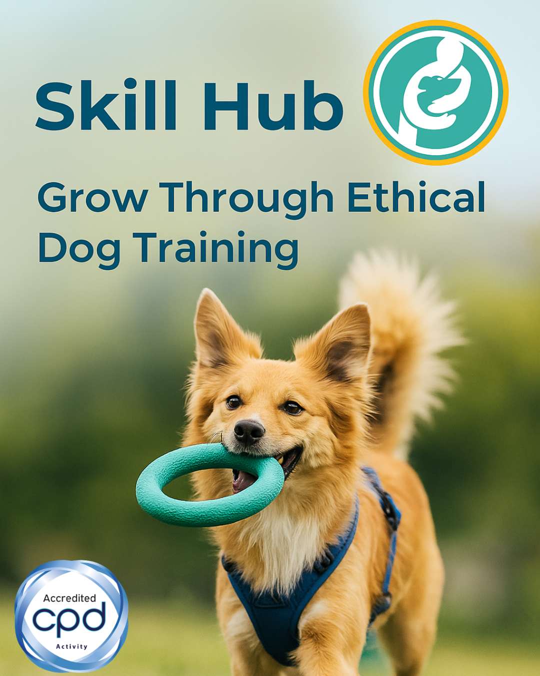 Canine Principles Facebook ad: 50% Off Ethical Dog Training for Professionals
