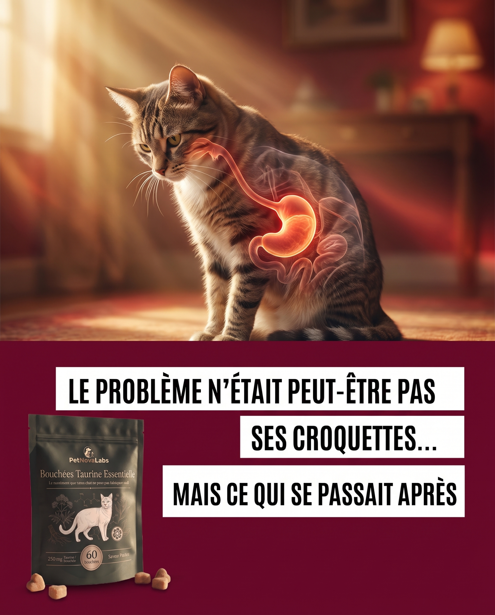 Sophie Martin Facebook ad: STOP: ne changez pas encore ses croquettes