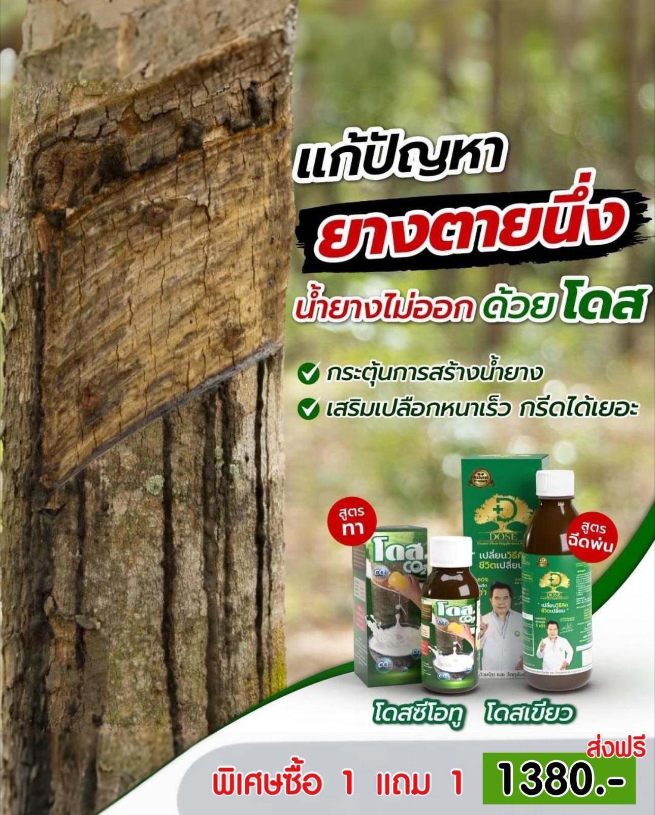 โดส ซีโอทู Dose Co2 ทาแก้หน้ายางตายนึ่ง เชื้อราดำชมพู Facebook ad: หน้ายางตายนึ่ง เชื้อรารุมเร้า เปลือกแตก เปลือกแข็ง ต้นโทรม…