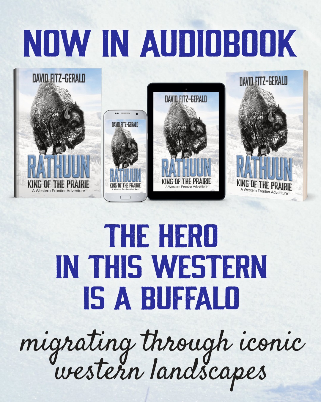 Author David Fitz-Gerald Facebook ad: Now in Audiobook