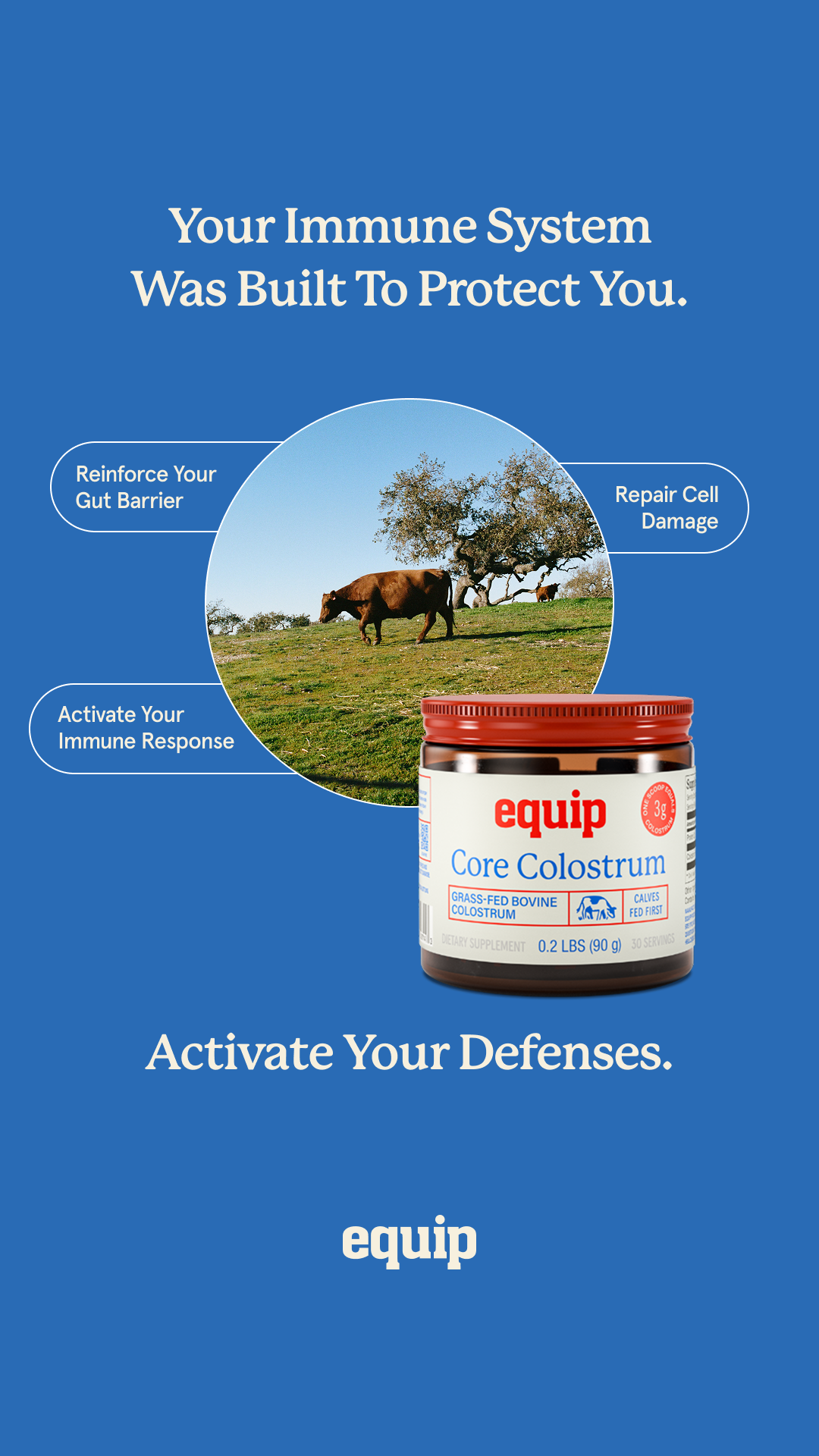 Equip Facebook ad