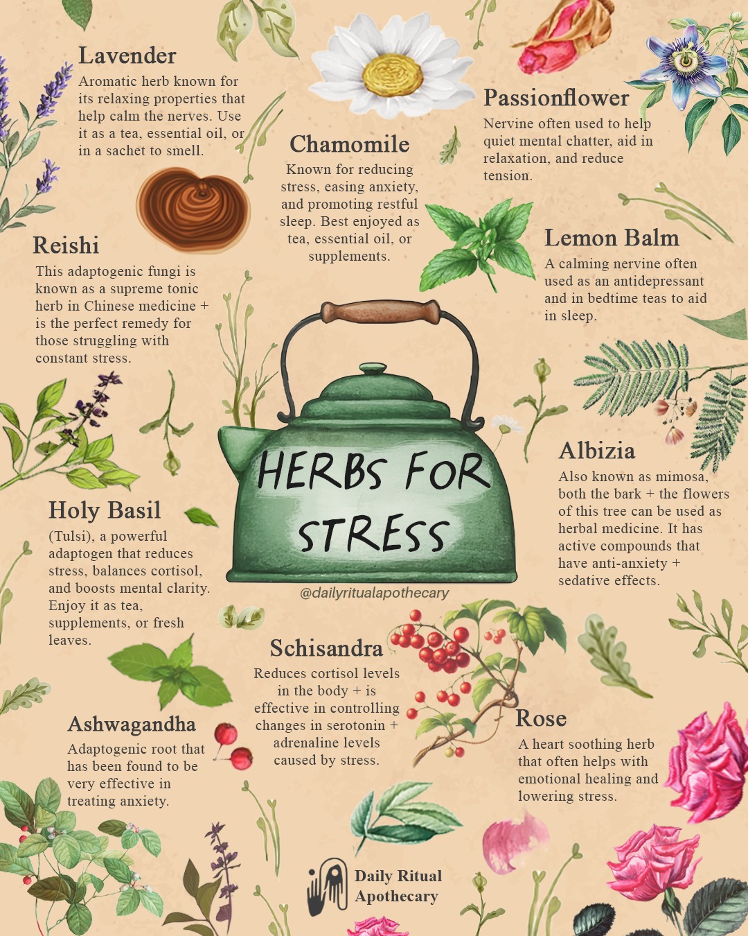 Daily Ritual Apothecary Facebook ad: Herbs for Stress