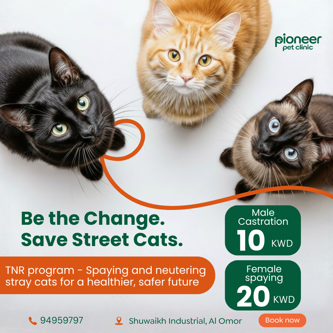Pioneer Pet Clinic Facebook ad
