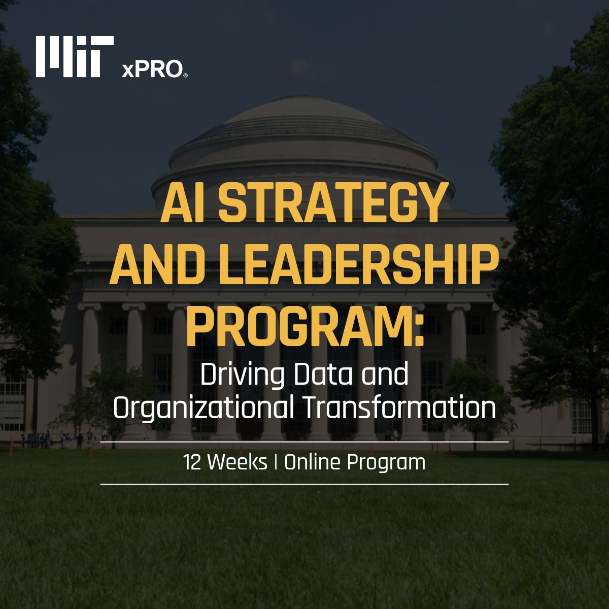 MIT AI Strategy and Leadership Program Facebook ad: Build an AI strategy that scales