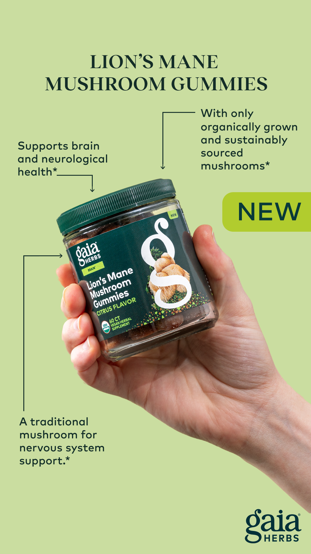 Gaia Herbs Facebook ad