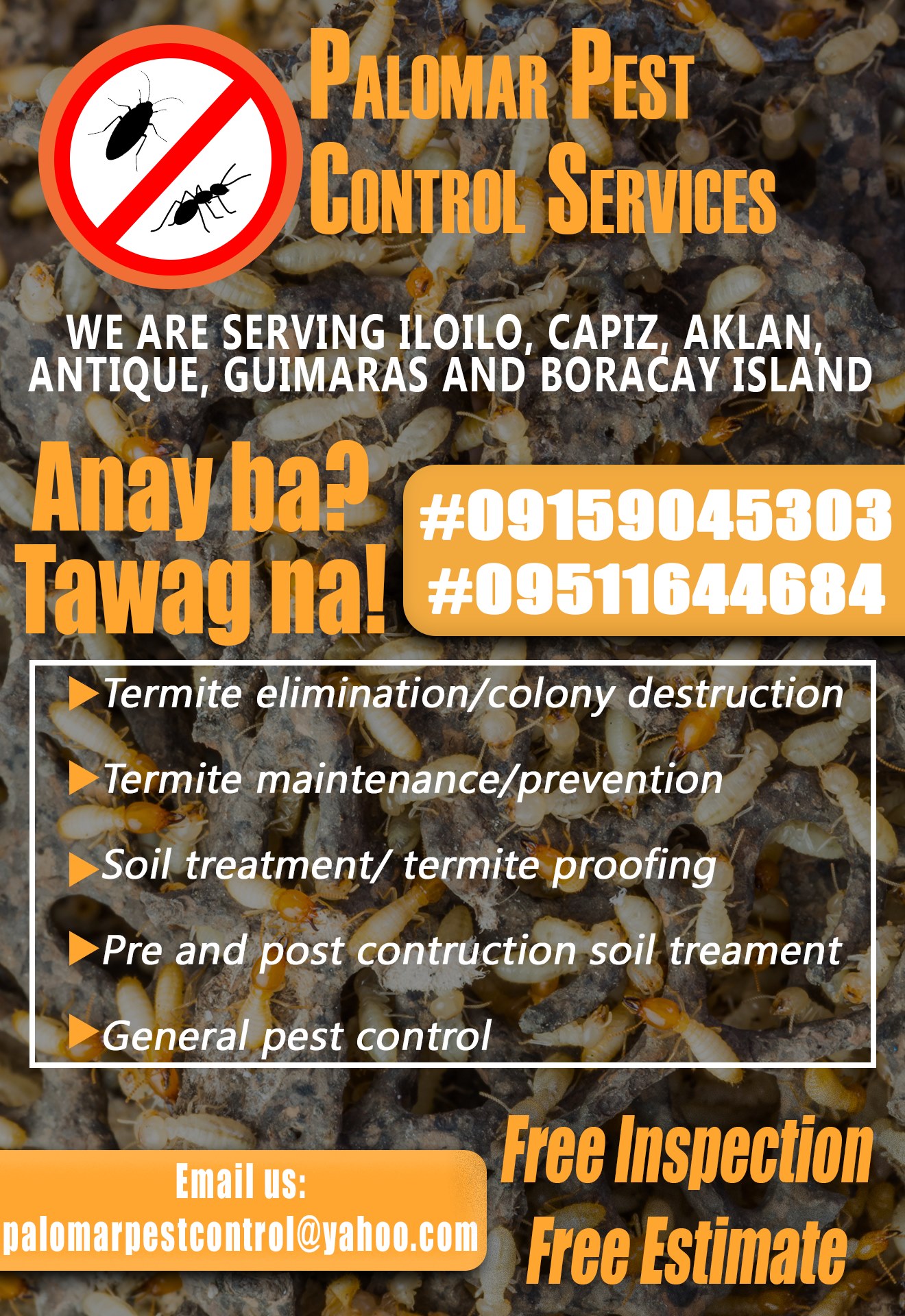 Pest Control-Palomar Pest Control Services Facebook ad: Your Pest Control Specialist serving Iloilo, Capiz, Aklan…