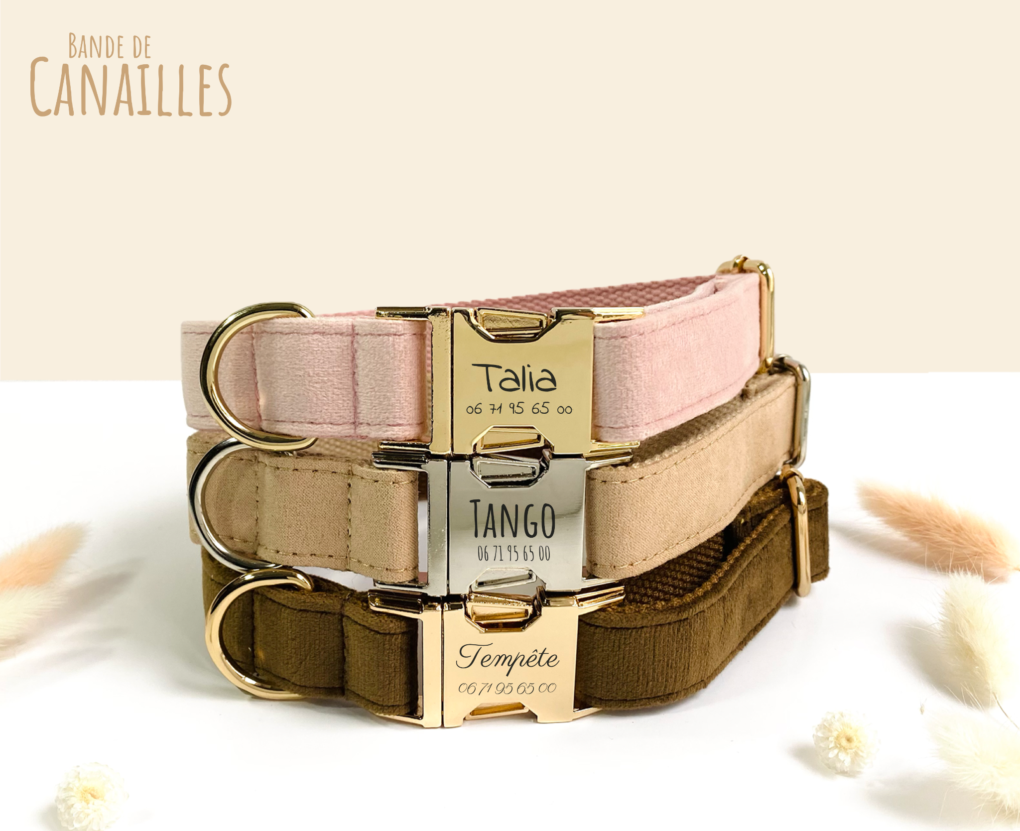 Bande de Canailles Facebook ad