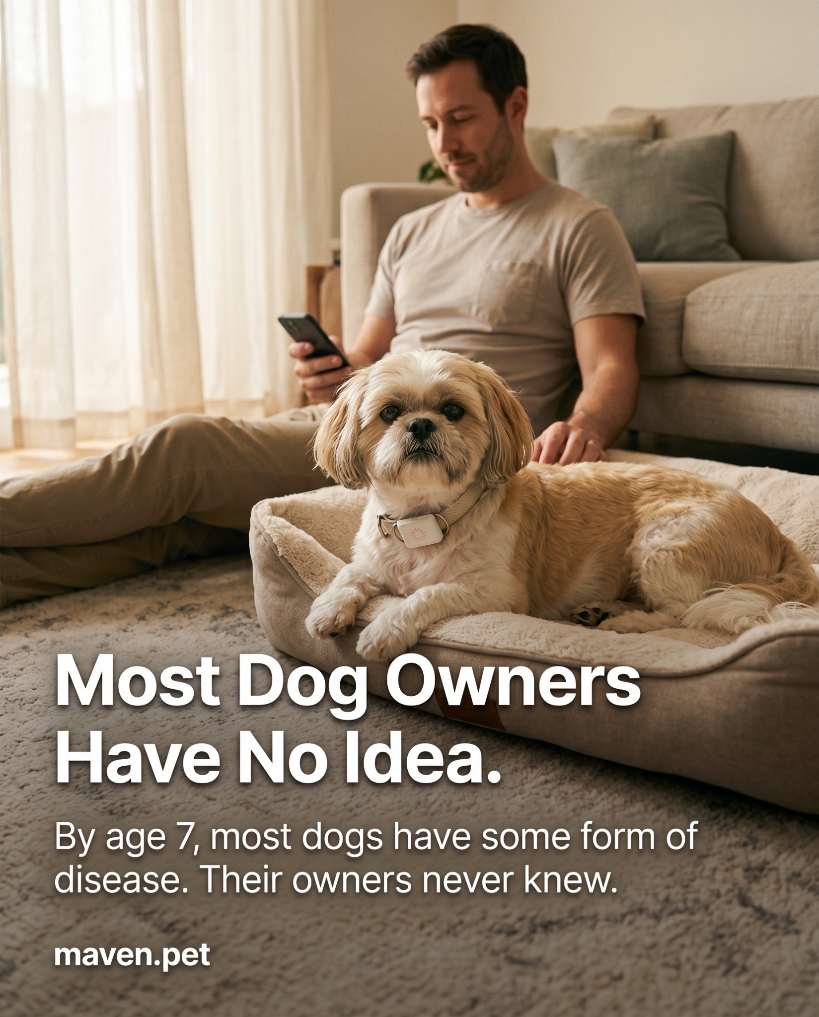 Maven Pet Facebook ad