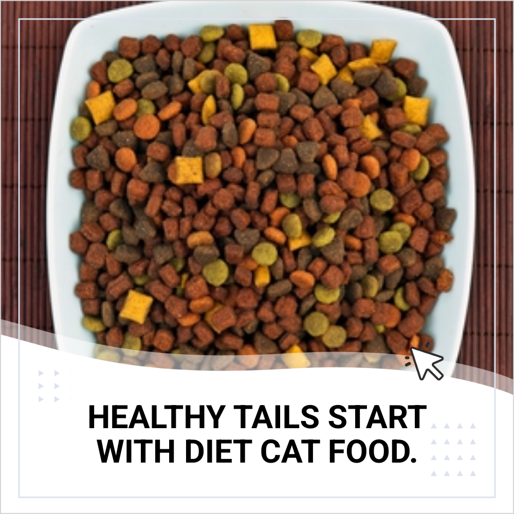 Icananswerthat Radar Facebook ad: Diet Cat Food Discount Deals!