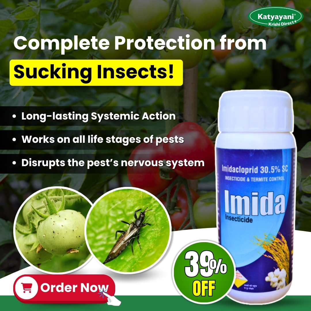 Katyayani Organics Facebook ad