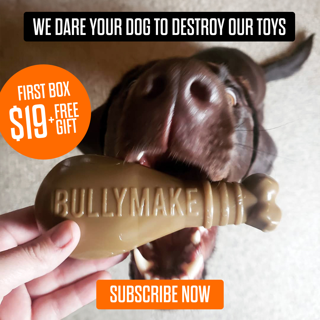BULLYMAKE Facebook ad
