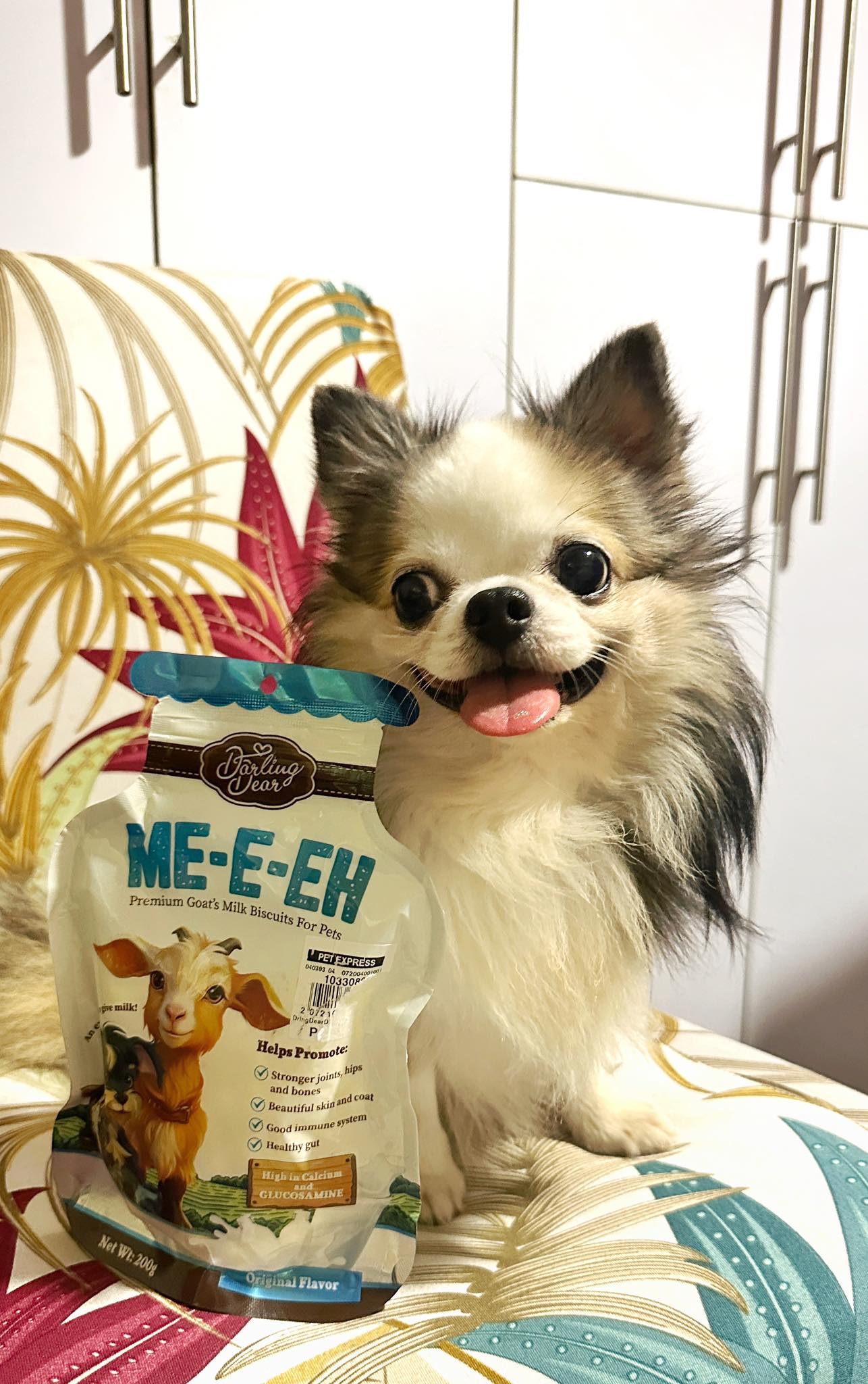 Darling Dear Pets Facebook ad