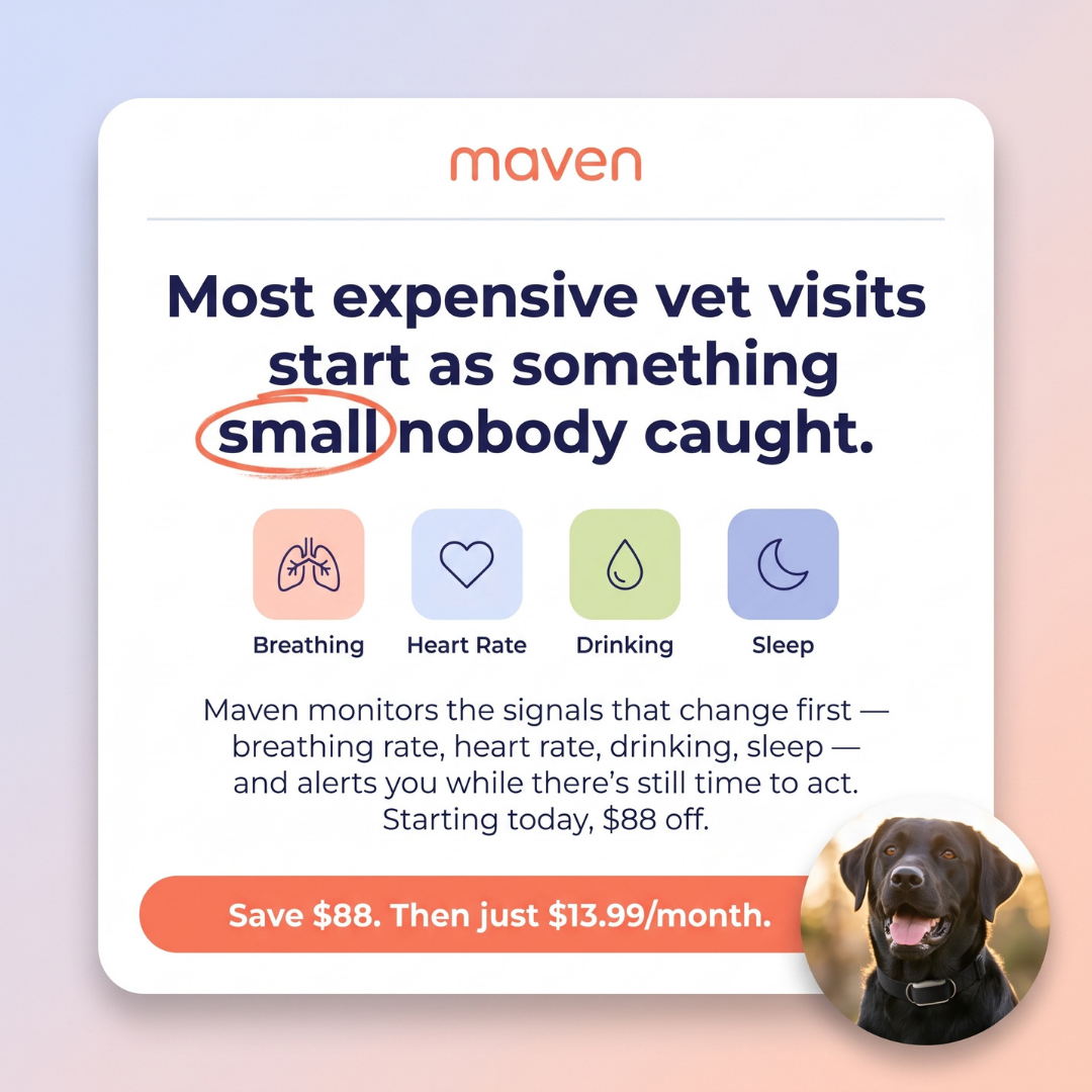 Maven Pet Facebook ad