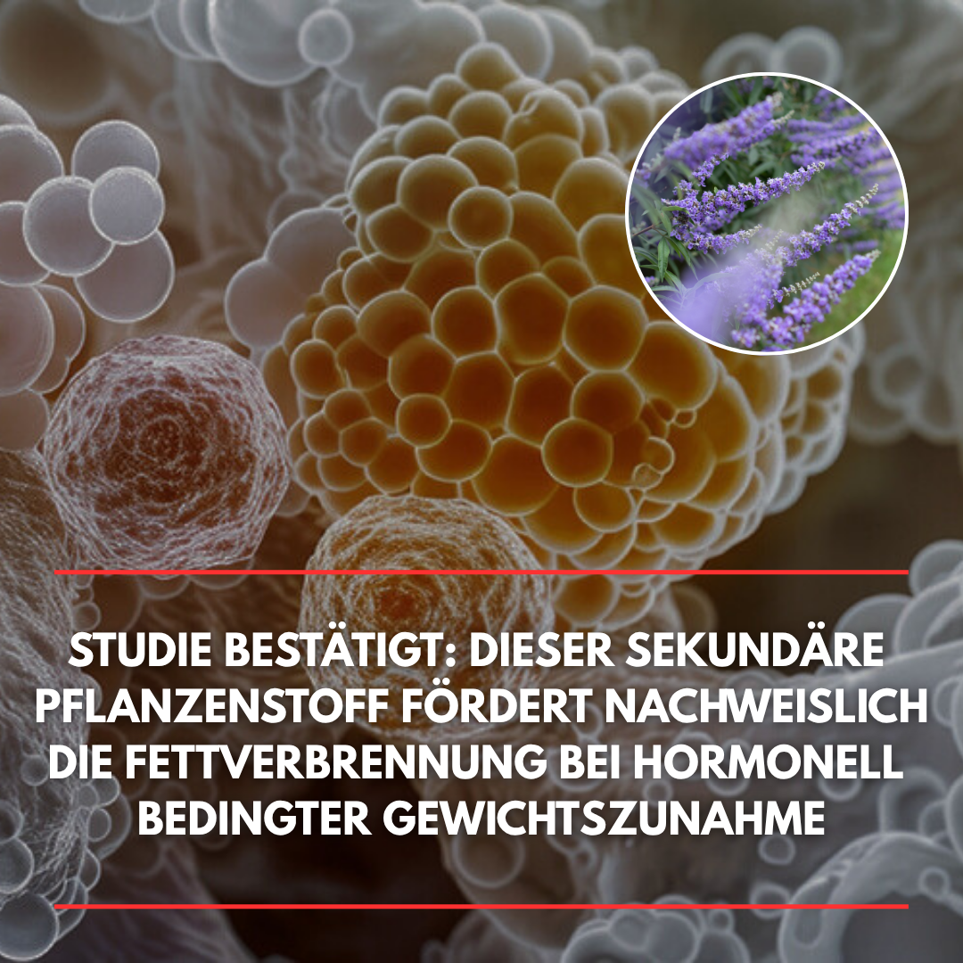 Gesundheitspiegel Facebook ad: Der größte Fehler bei Hormon-Bauchfett