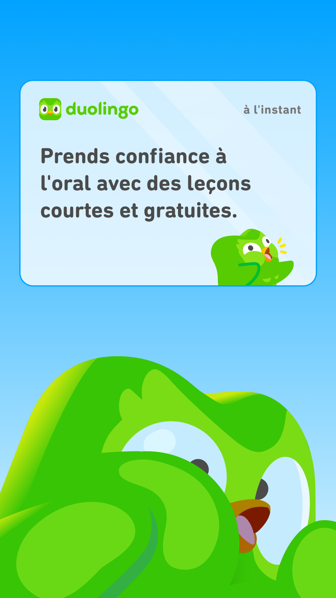 Duolingo Facebook ad