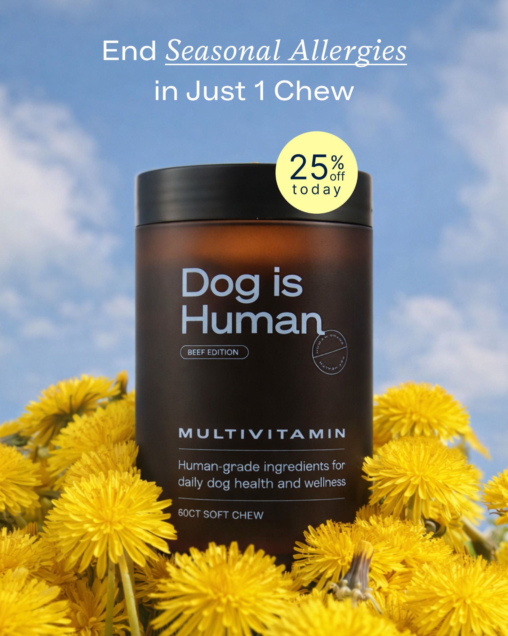 Dog is Human Facebook ad