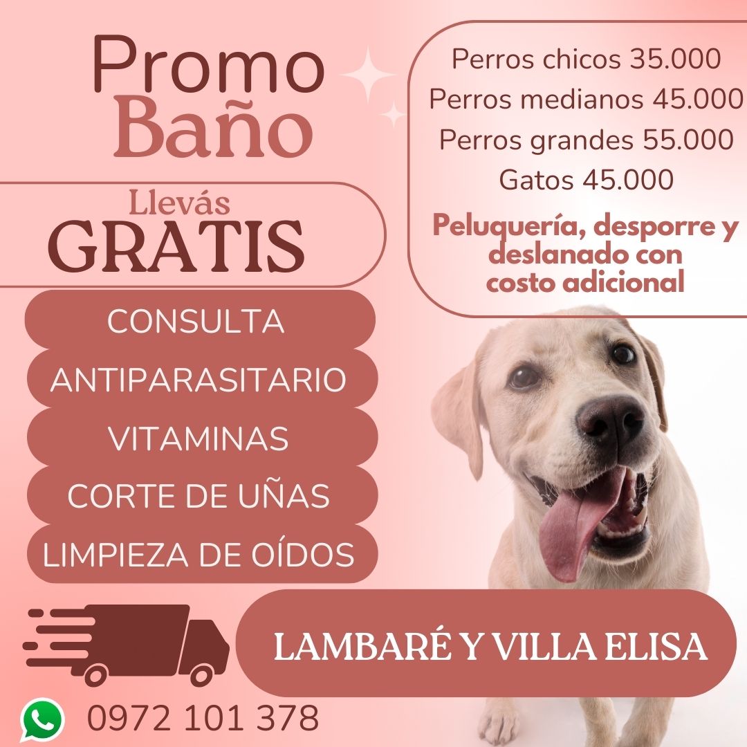 Clínica Veterinaria GarVet Facebook ad: SPA VIP