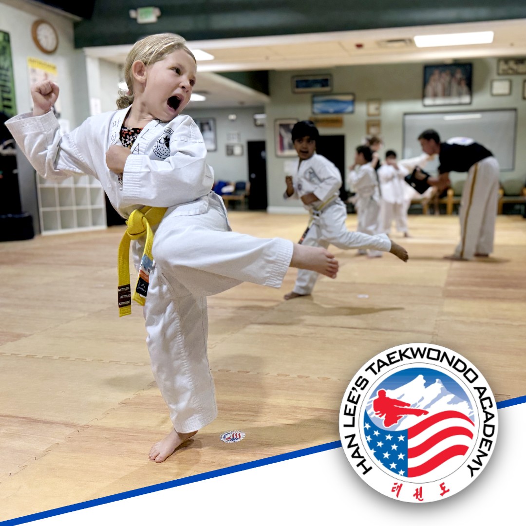 Han Lee's Taekwondo Academy Facebook ad