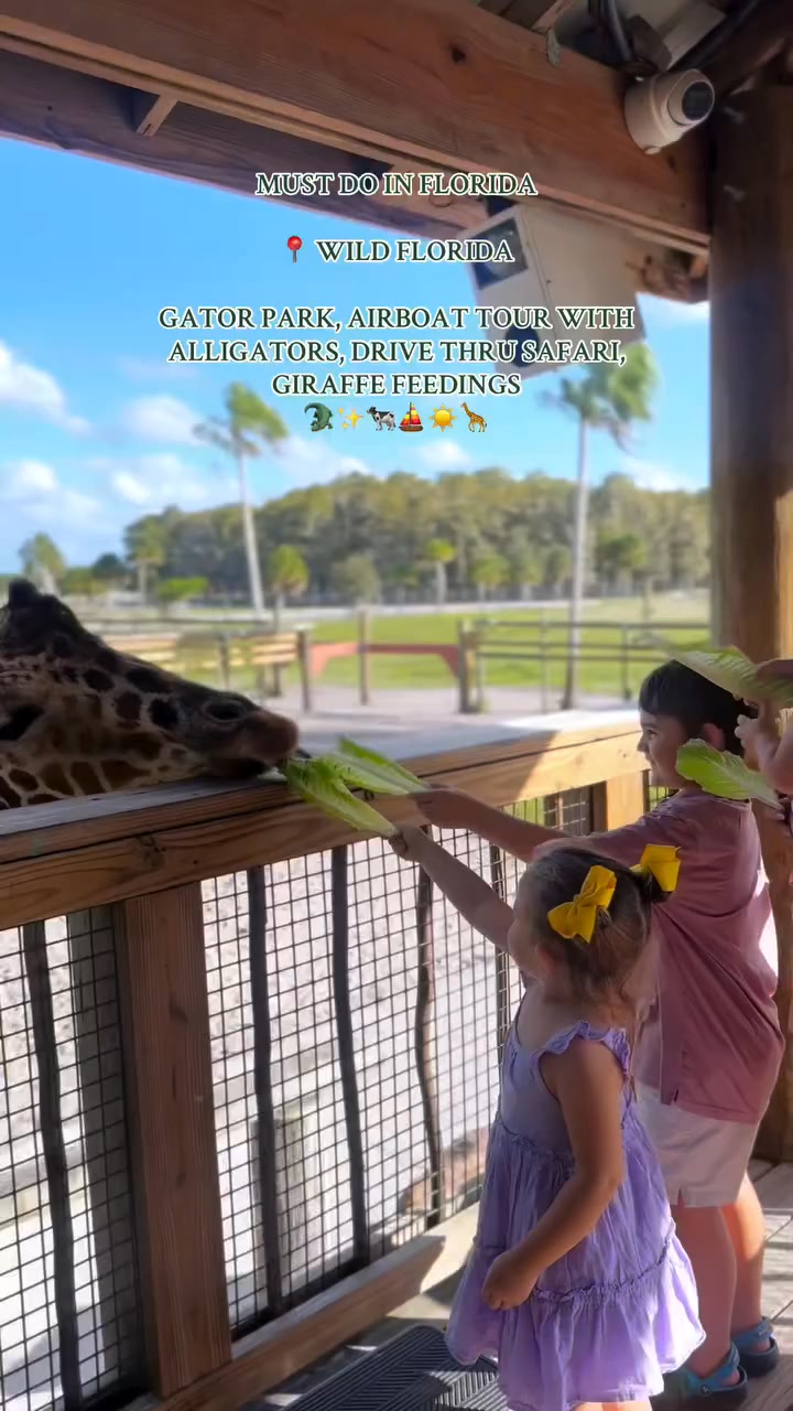 Wild Florida Facebook ad: One Day, Endless Adventure
