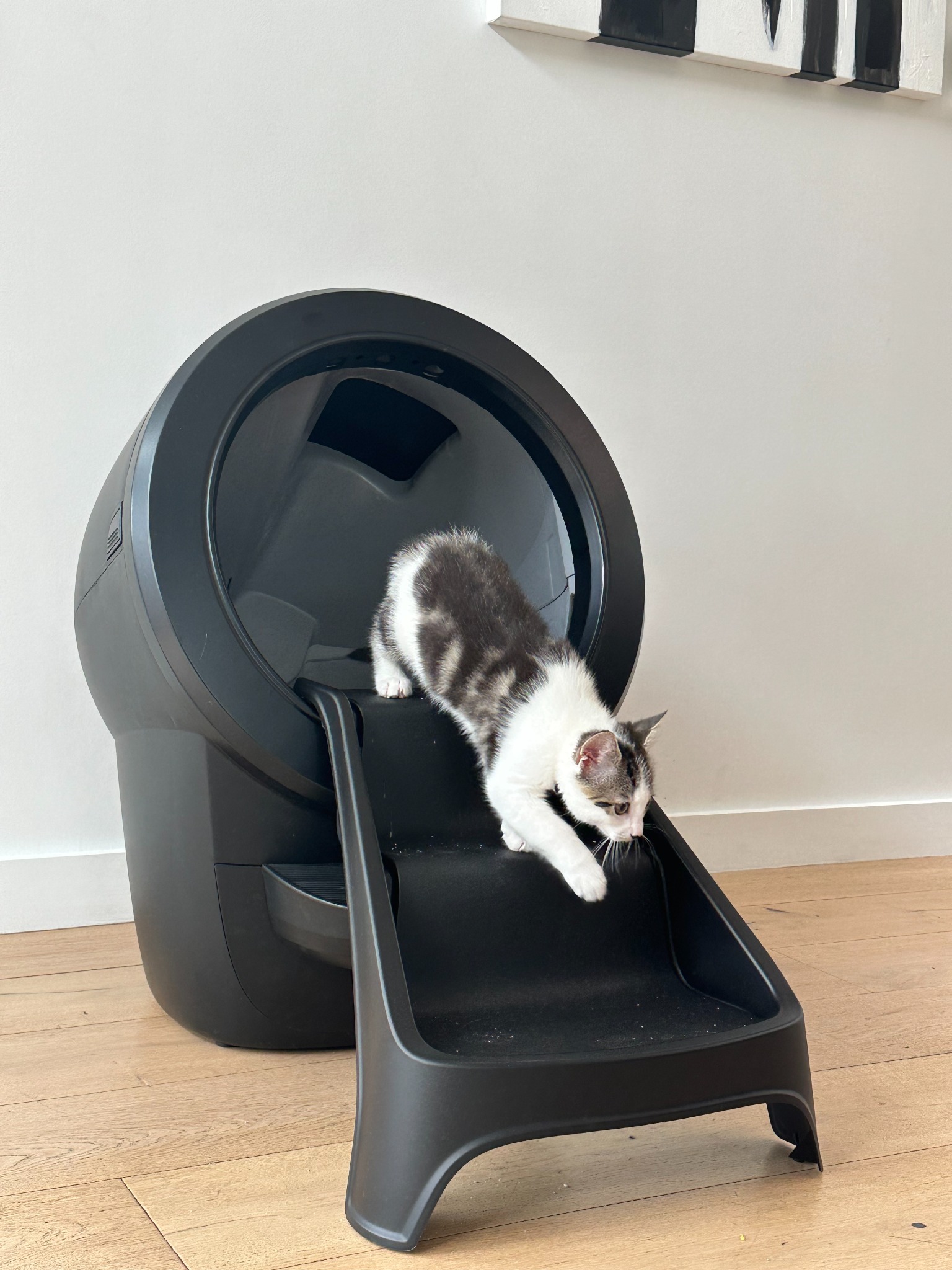 Litter-Robot by Whisker Facebook ad
