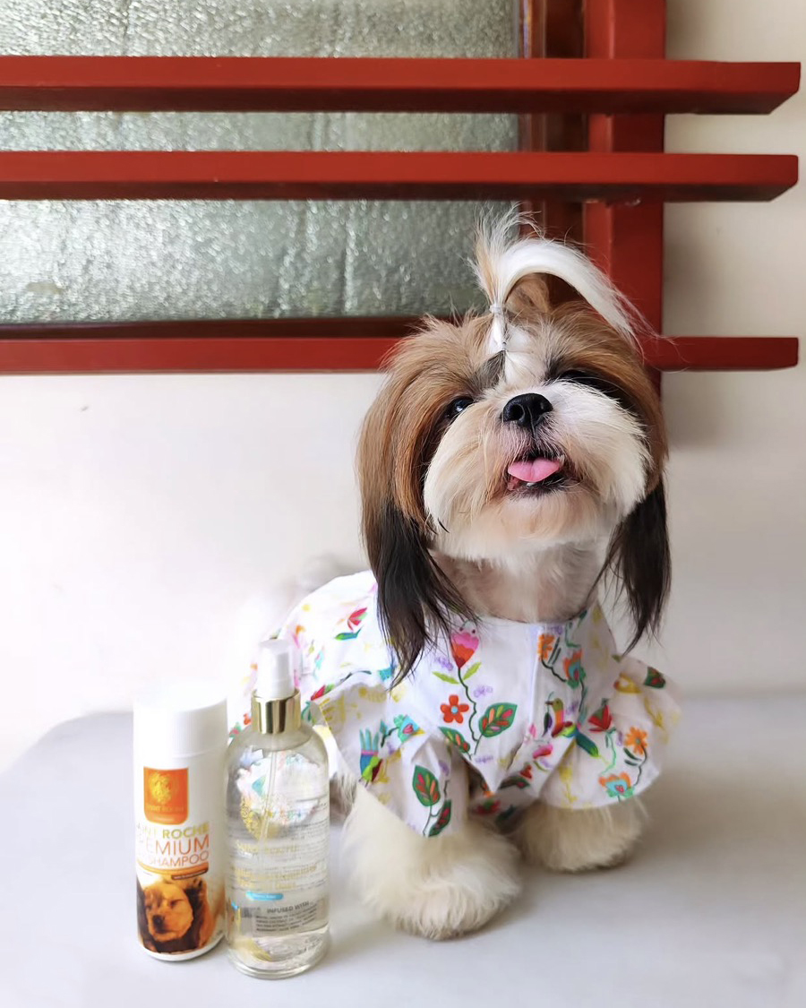 Saint Roche Premium Dog Shampoo Facebook ad